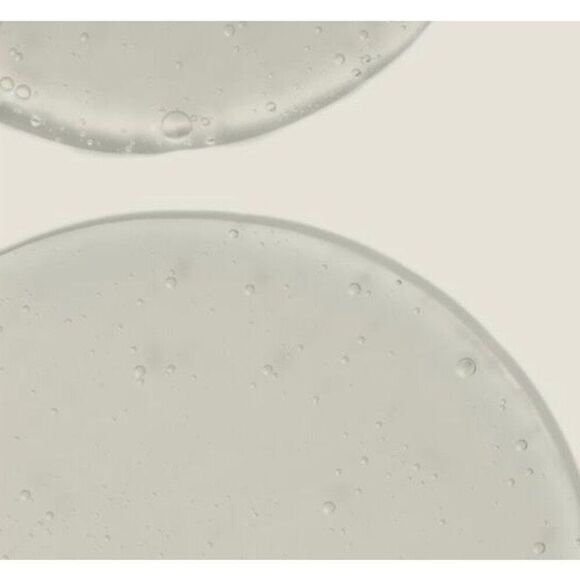 TWENTY NINE PALMS - NWT Pinyon Poet Body Wash/Aromatic/Hydrate/Exfoliate/UNISEX - Picture 5 of 16